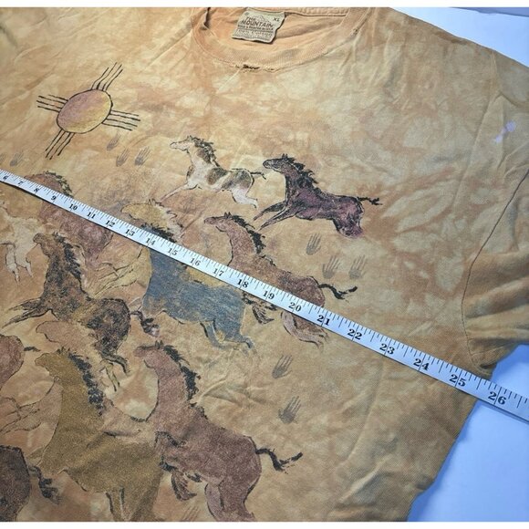 Comstock Wild‎ Horses (2002) Let ‘em run, Virginia City Nevada (XL) - Picture 7 of 10